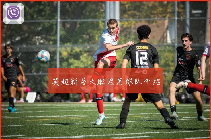 英超新秀大胆启用球队介绍