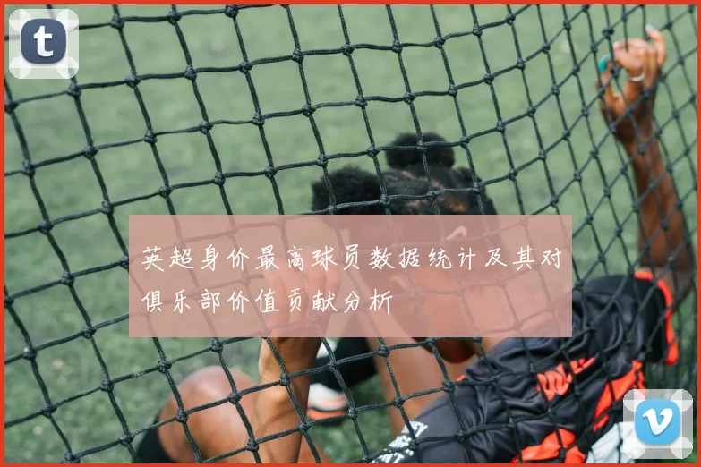 英超身价最高球员数据统计及其对俱乐部价值贡献分析