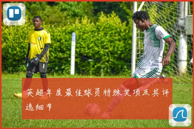 英超年度最佳球员特殊奖项及其评选细节