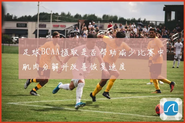 足球BCAA摄取是否帮助减少比赛中肌肉分解并改善恢复速度